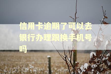 信用卡逾期了可以去银行办理跟换手机号吗
