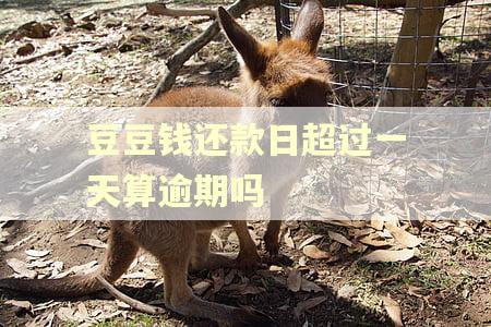 豆豆钱还款日超过一天算逾期吗 豆豆钱还款日超过一天算逾期吗