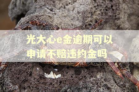 光大心e金逾期可以申请不赔违约金吗