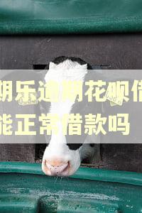 分期乐逾期花呗借呗还能正常借款吗