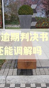 房贷逾期判决书下来了,还能调解吗