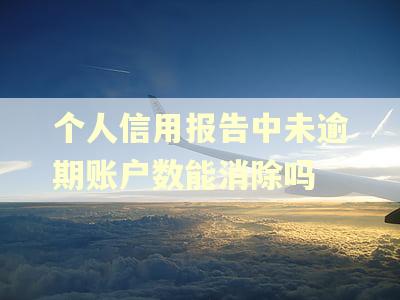 个人信用报告中未逾期账户数能消除吗