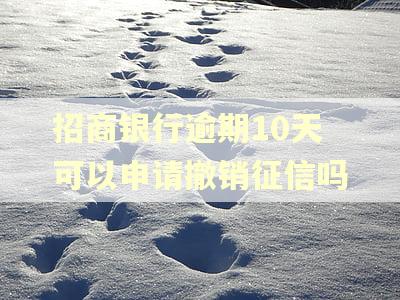 招商银行逾期10天可以申请撤销征信吗