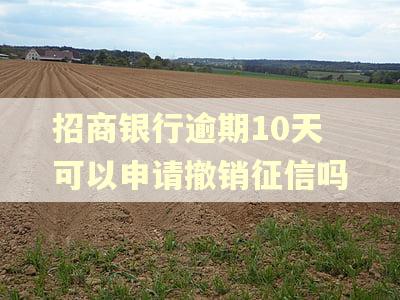招商银行逾期10天可以申请撤销征信吗