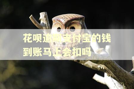 花呗逾期支付宝的钱到账马上会扣吗