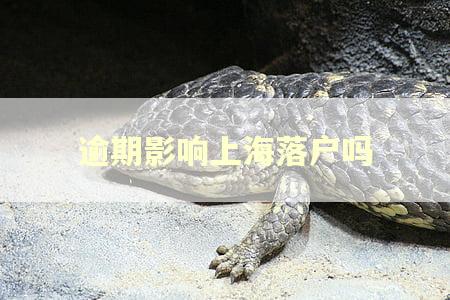 逾期影响上海落户吗