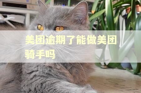 美团逾期了能做美团骑手吗