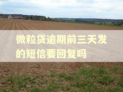 微粒贷逾期前三天发的短信要回复吗