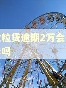 微粒贷逾期2万会起诉吗