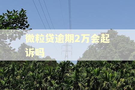 微粒贷逾期2万会起诉吗