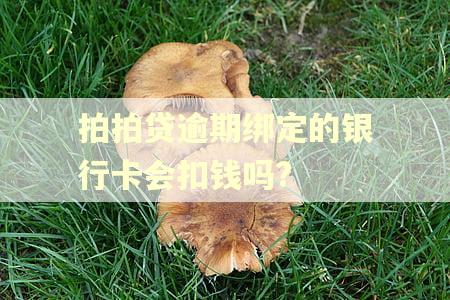 拍拍贷逾期绑定的银行卡会扣钱吗? 拍拍贷逾期绑定的银行卡会扣钱吗?
