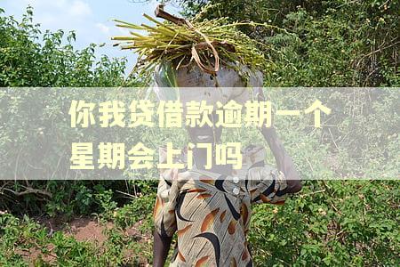 你我贷借款逾期一个星期会上门吗