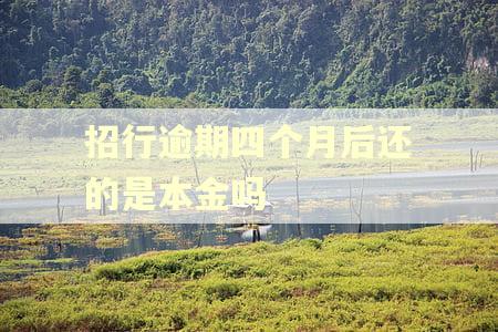 招行逾期四个月后还的是本金吗