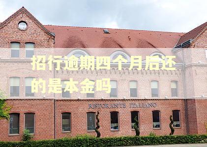 招行逾期四个月后还的是本金吗