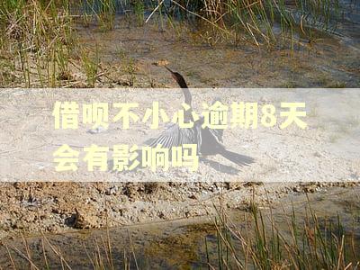 借呗不小心逾期8天会有影响吗