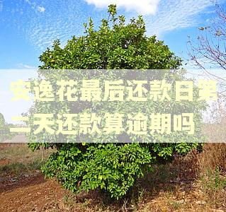 安逸花最后还款日第二天还款算逾期吗