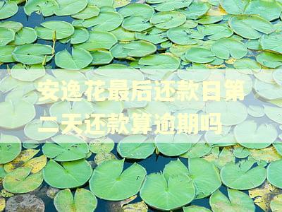 安逸花最后还款日第二天还款算逾期吗 安逸花最后还款日第二天还款算逾期吗