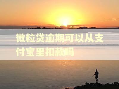 微粒贷逾期可以从支付宝里扣款吗