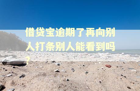 借贷宝逾期了再向别人打条别人能看到吗?