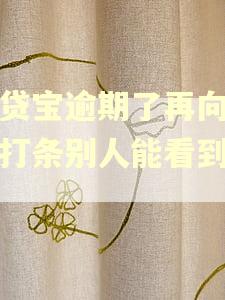 借贷宝逾期了再向别人打条别人能看到吗?