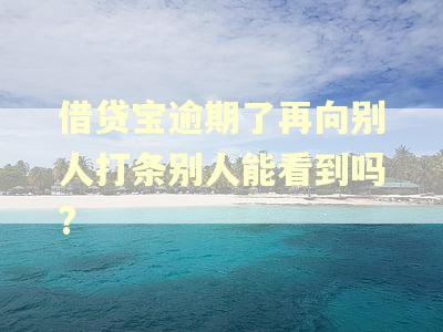 借贷宝逾期了再向别人打条别人能看到吗?