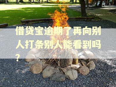 借贷宝逾期了再向别人打条别人能看到吗?