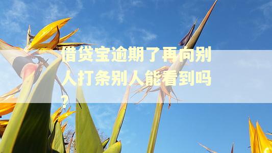 借贷宝逾期了再向别人打条别人能看到吗?
