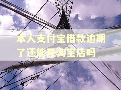 本人支付宝借款逾期了还能开淘宝店吗