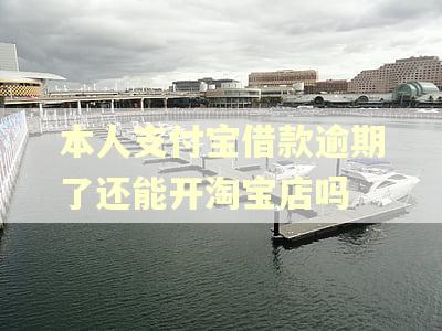 本人支付宝借款逾期了还能开淘宝店吗