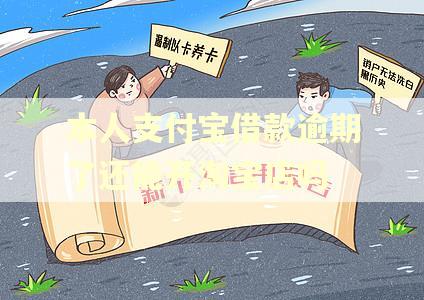 本人支付宝借款逾期了还能开淘宝店吗