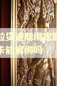 微粒贷逾期绑定的银行卡能解绑吗 微粒贷逾期绑定的银行卡能解绑吗