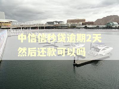 中信信秒贷逾期2天然后还款可以吗