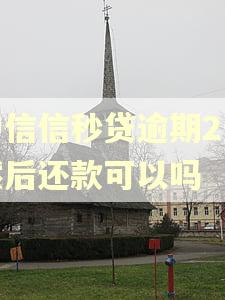 中信信秒贷逾期2天然后还款可以吗
