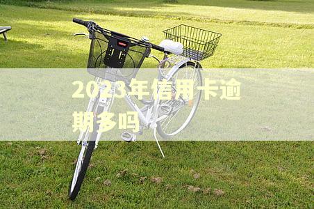 2023年信用卡逾期多吗