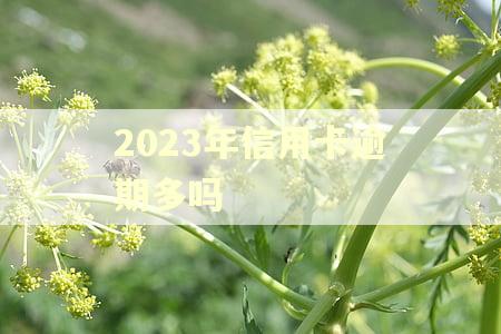 2023年信用卡逾期多吗