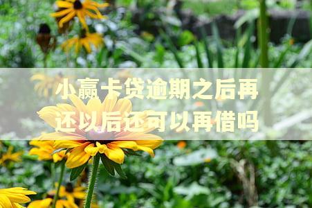 小赢卡贷逾期之后再还以后还可以再借吗