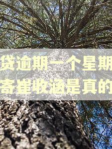 网贷逾期一个星期说要寄崔收涵是真的吗