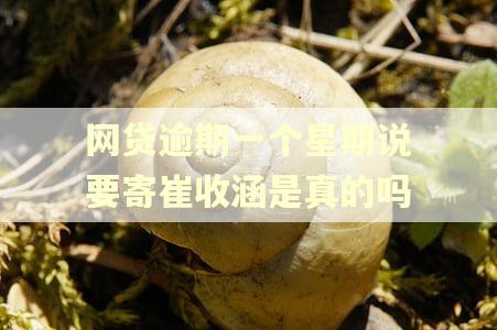 网贷逾期一个星期说要寄崔收涵是真的吗