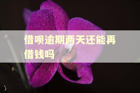 借呗逾期两天还能再借钱吗