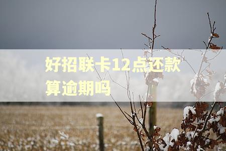 好招联卡12点还款算逾期吗