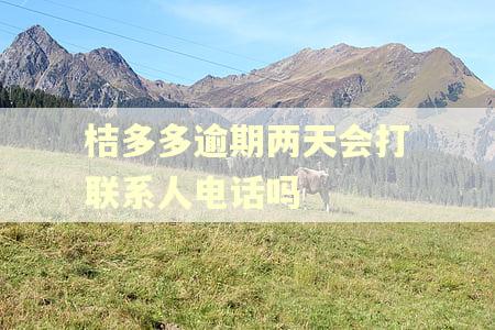 桔多多逾期两天会打联系人电话吗
