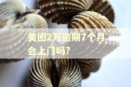 美团2万逾期7个月会上门吗?