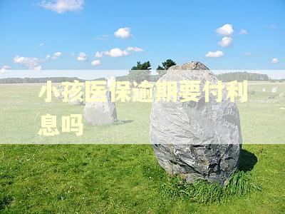 小孩医保逾期要付利息吗