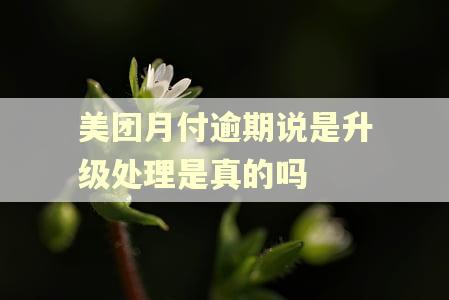 美团月付逾期说是升级处理是真的吗