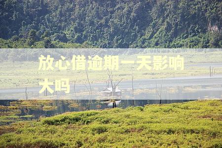 放心借逾期一天影响大吗 放心借逾期一天影响大吗