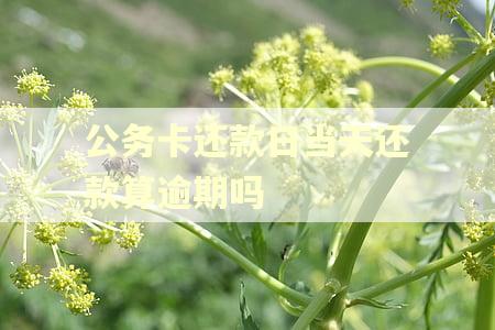 公务卡还款日当天还款算逾期吗 公务卡还款日当天还款算逾期吗