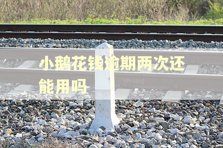 小鹅花钱逾期两次还能用吗