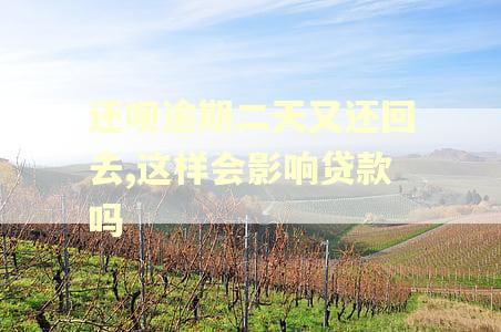 还呗逾期二天又还回去,这样会影响贷款吗