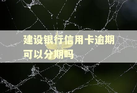 建设银行信用卡逾期可以分期吗