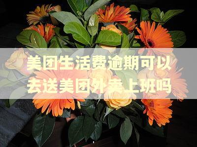 美团生活费逾期可以去送美团外卖上班吗